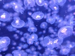 -石林冰雪海洋世界