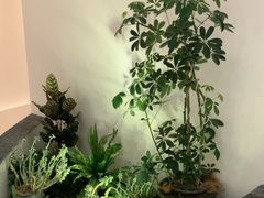 -手佳按摩·足疗·艾灸(博物院中山陵店)