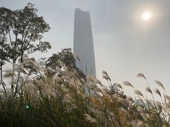 -武昌江滩