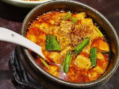 -陈麻婆豆腐总店