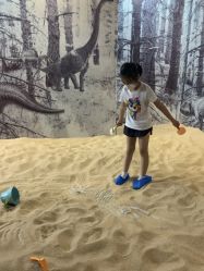 -恐龙探索乐园(磁器口店)