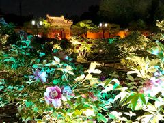 景点-景山公园