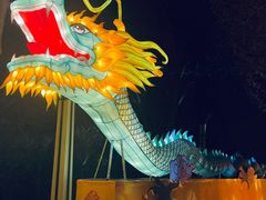 -青龙湖公园
