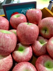 -幻贝家儿童乐园(苏州中心店)