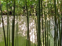 -秋霞圃