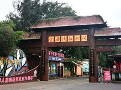 -北海金海湾红树林生态旅游区