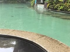 -碧桂园润杨溪谷温泉酒店