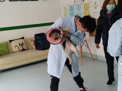 -汪喵宠物医院·骨科心脏影像·犬猫急重症ICU诊疗中心(成华分院)