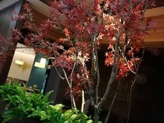 -三谷里·生态水疗空间(五一店)