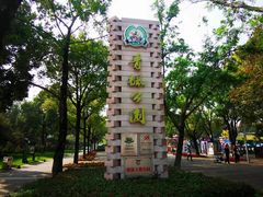 -青枫公园