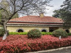 -青岛德国总督楼旧址博物馆