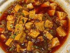 蹄筋麻婆豆腐-肆海小川菜酒馆Wine Bistro (青年路店)