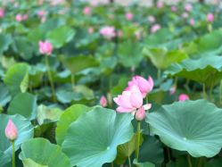 -大望京儿童游乐场