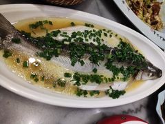 清蒸白鱼-京城小江南·北京烤鸭·江南土菜·白鱼(中关村店)