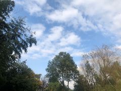 -佘山世茂艾美·御珍轩中餐厅