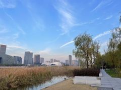 -金沙湖公园