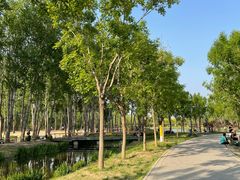 -东郊湿地公园