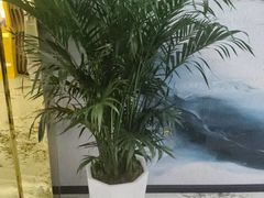 -康熙养生SPA·轻奢足道(江宁万达店)