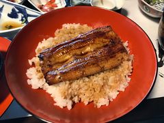 -料亭菊水楼