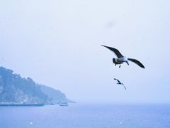 -烟墩角天鹅湖