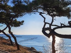 -青岛海滨风景区