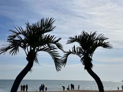 -日照海滨国家森林公园