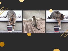 手冲-UNI UNI(环亚凯瑟琳店)