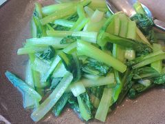 -松赞拉萨林卡酒店