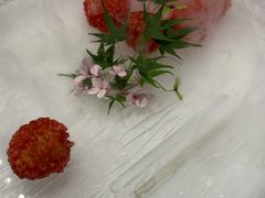 -毗陵醉·黑钻(湖塘店)