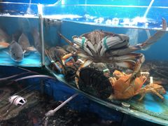 -望海潮海鲜店 特色家常菜(在海一方店)