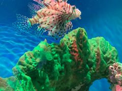 -海合安武汉极地海洋公园