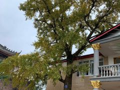 -金堂县云顶石城风景区