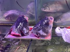 -东川新街市(东川市场店)