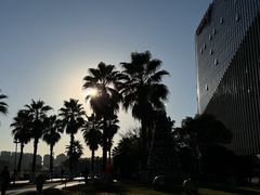 -金沙湖公园