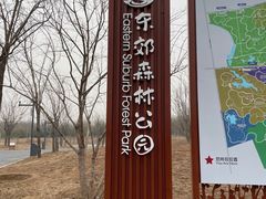 -东郊湿地公园