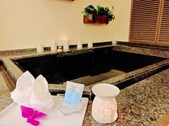 -春晖园度假酒店温泉