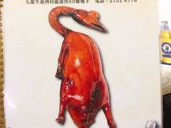 -新志兴至尊烧鹅大王
