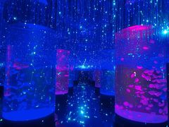 -波塞冬旅游度假区