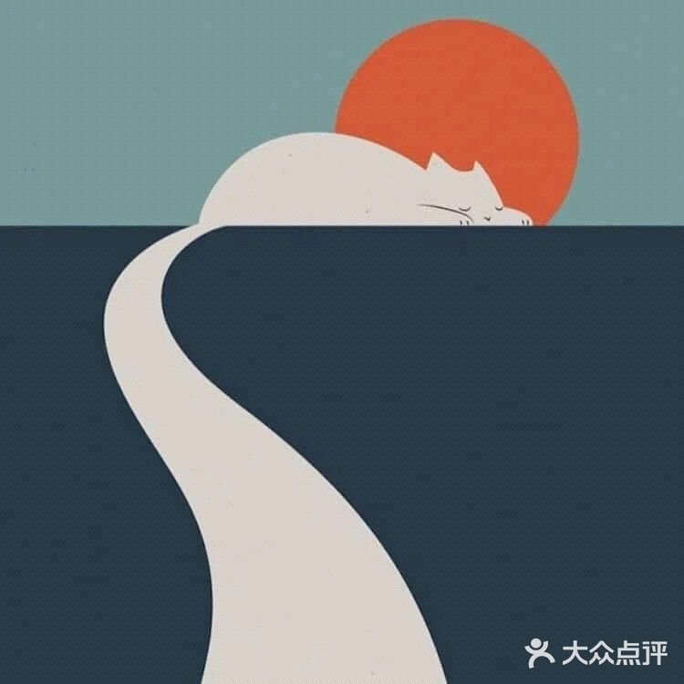 一起来找猫猫🐈