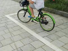 -野狸岛