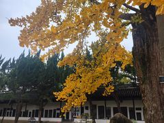 -苏州文庙(姑苏区)