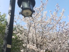 -苏州上方山国家森林公园