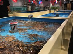 -日进一片海.生腌海鲜火锅.宵夜烧烤(三里屯总店)