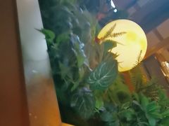 -宏宴·新京菜(望京店)