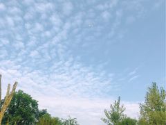 -重庆彩云湖湿地公园