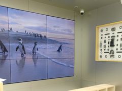 -DJI大疆(深圳华强北曼哈授权体验店)