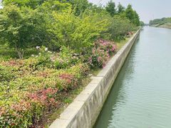 -阳澄湖半岛旅游度假区