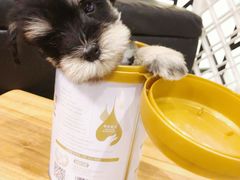 -小尾巴宠物店(万科·金域华庭店)