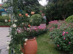-大关公园