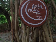 -华侨城湿地公园